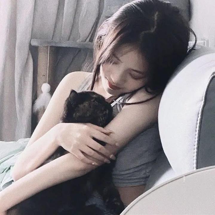 小野猫与斗牛犬